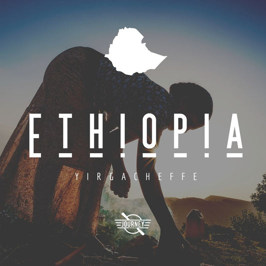 Ethiopia // Yirgacheffe