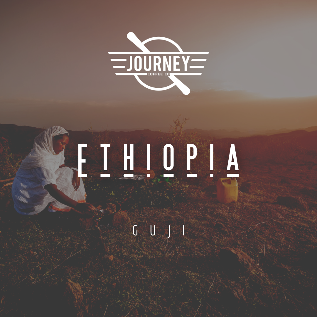 Ethiopia // Guji